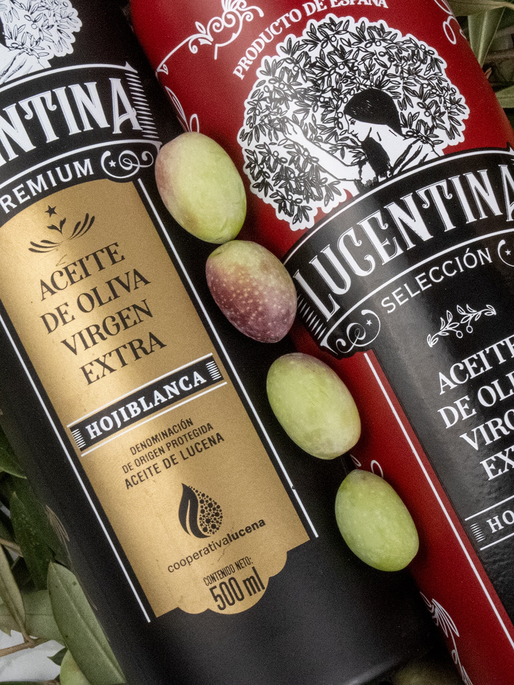 Lucentina AOVE · Restyling de su Packaging