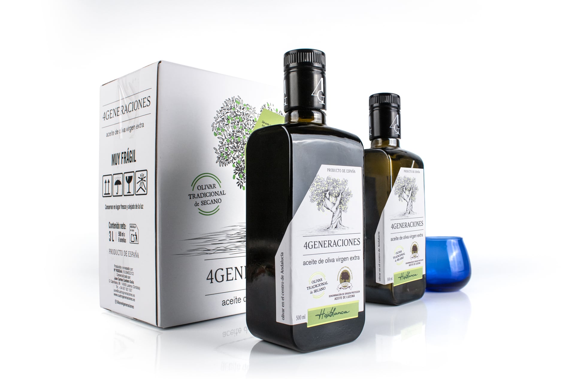 4 Generaciones AOVE de Lucena